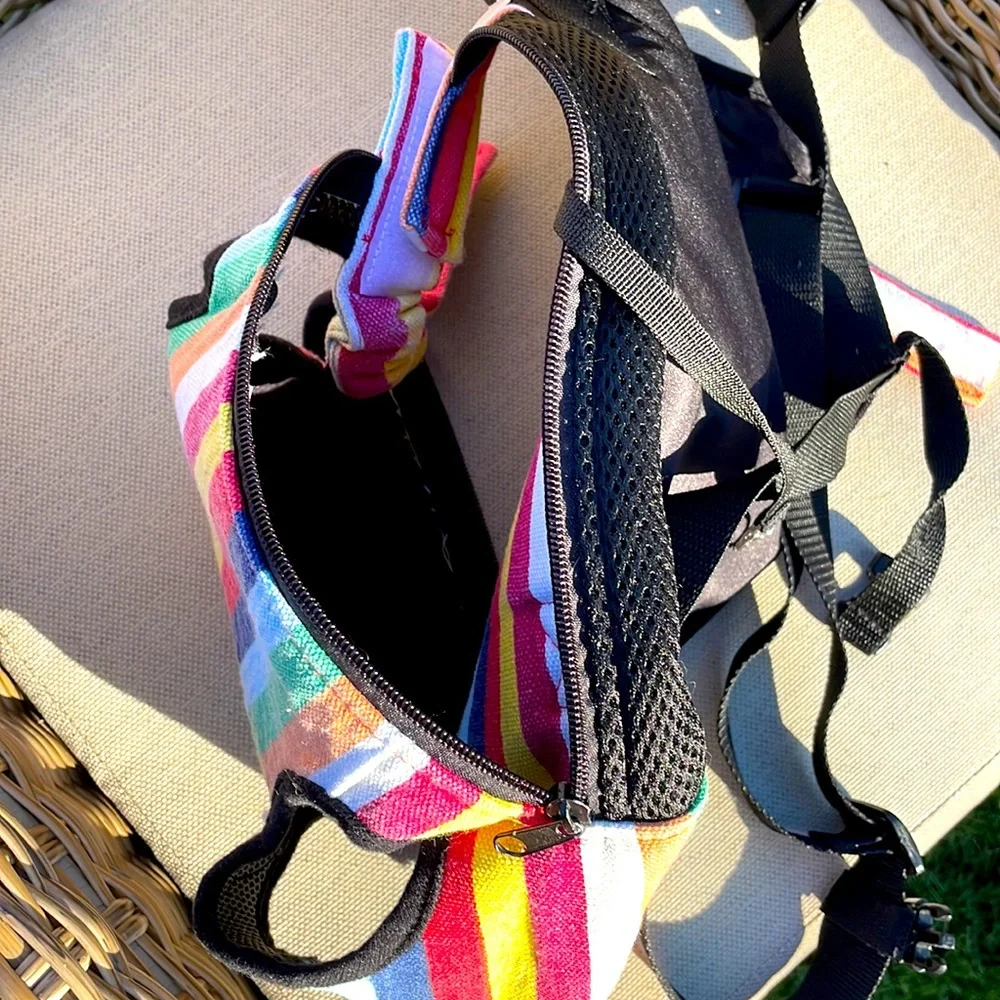 Small pet front carrier